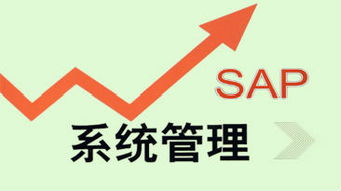 朗澤sap教育專業(yè)資料大全 精品文庫